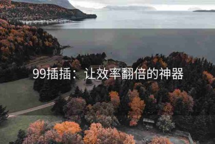 99插插：让效率翻倍的神器