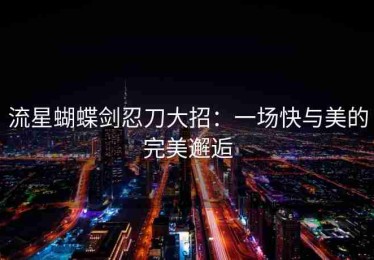 流星蝴蝶剑忍刀大招：一场快与美的完美邂逅