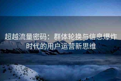 超越流量密码：群体轮换与信息爆炸时代的用户运营新思维