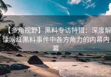 【多角视野】黑料专访特辑：深度解读网红黑料事件中各方角力的内幕内幕