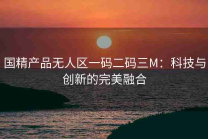 国精产品无人区一码二码三M：科技与创新的完美融合