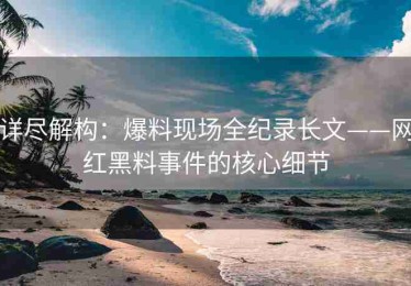详尽解构：爆料现场全纪录长文——网红黑料事件的核心细节