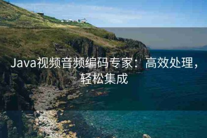 Java视频音频编码专家：高效处理，轻松集成
