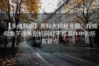 【多维解析】黑料大揭秘专题：权威视角下逐条剖析网红不打事件中的所有疑点