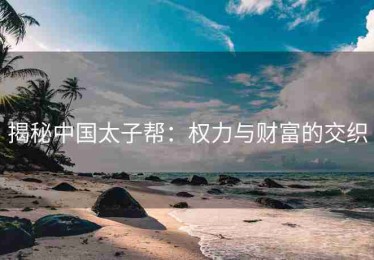 揭秘中国太子帮：权力与财富的交织