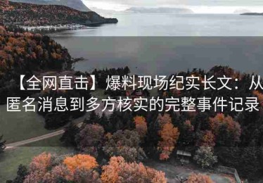 【全网直击】爆料现场纪实长文：从匿名消息到多方核实的完整事件记录