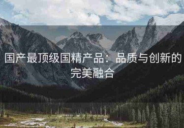 国产最顶级国精产品：品质与创新的完美融合
