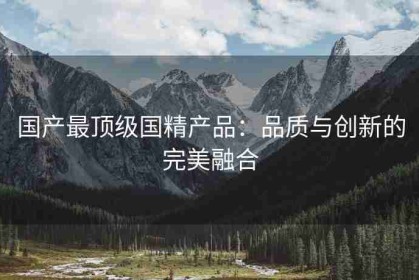 国产最顶级国精产品：品质与创新的完美融合
