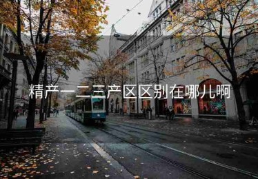 精产一二三产区区别在哪儿啊