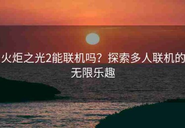 火炬之光2能联机吗？探索多人联机的无限乐趣