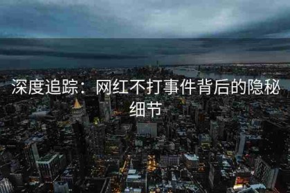 深度追踪：网红不打事件背后的隐秘细节