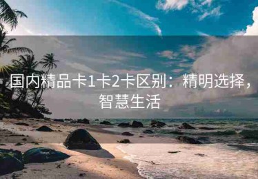 国内精品卡1卡2卡区别：精明选择，智慧生活
