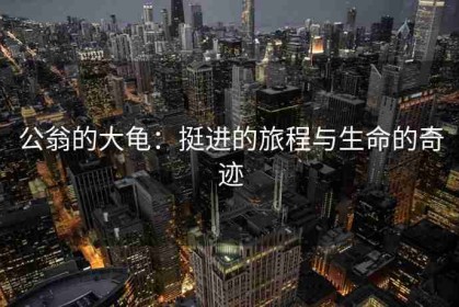 公翁的大龟：挺进的旅程与生命的奇迹