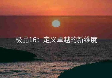 极品16：定义卓越的新维度