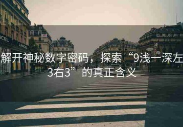 解开神秘数字密码，探索“9浅一深左3右3”的真正含义