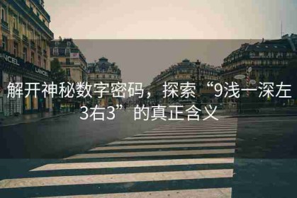 解开神秘数字密码，探索“9浅一深左3右3”的真正含义
