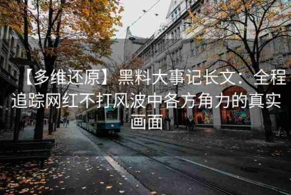 【多维还原】黑料大事记长文：全程追踪网红不打风波中各方角力的真实画面