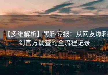【多维解析】黑料专报：从网友爆料到官方调查的全流程记录