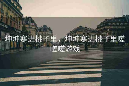 坤坤寒进桃子里，坤坤寒进桃子里嗟嗟嗟游戏