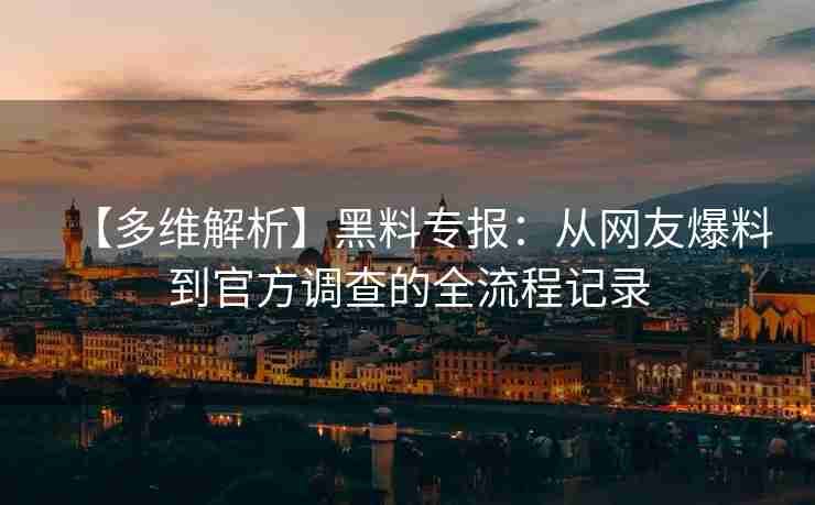 【多维解析】黑料专报：从网友爆料到官方调查的全流程记录