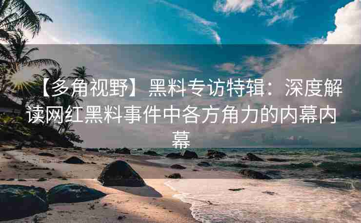 【多角视野】黑料专访特辑：深度解读网红黑料事件中各方角力的内幕内幕