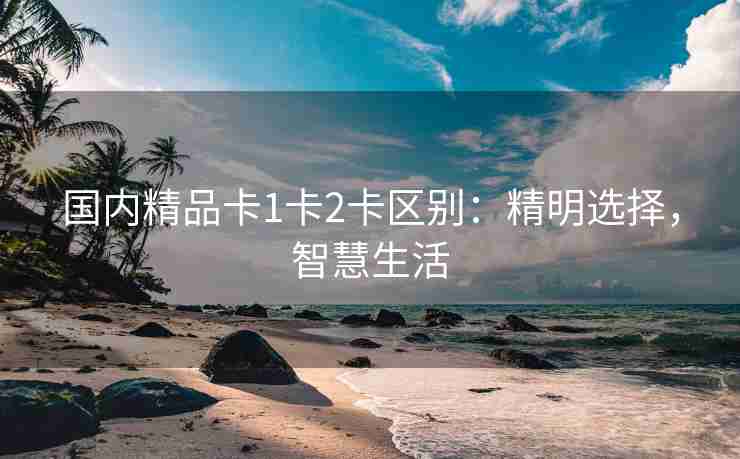 国内精品卡1卡2卡区别：精明选择，智慧生活
