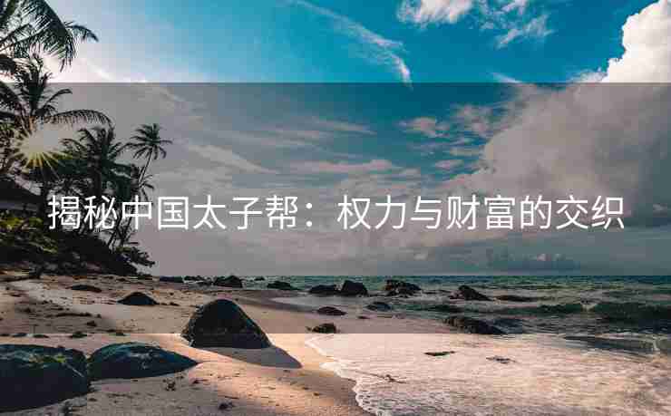 揭秘中国太子帮：权力与财富的交织