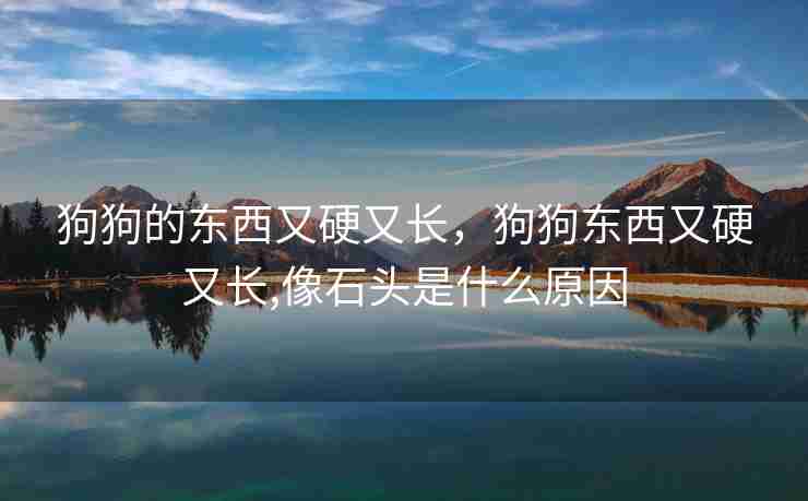狗狗的东西又硬又长，狗狗东西又硬又长,像石头是什么原因