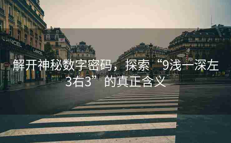 解开神秘数字密码，探索“9浅一深左3右3”的真正含义
