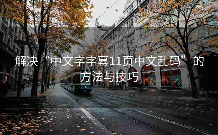 解决“中文字字幕11页中文乱码”的方法与技巧