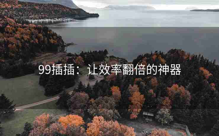 99插插：让效率翻倍的神器