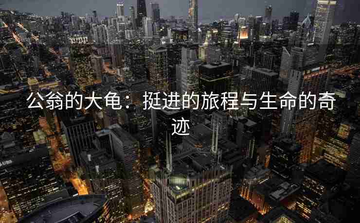 公翁的大龟：挺进的旅程与生命的奇迹
