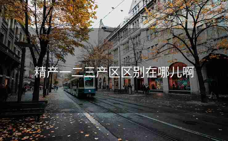 精产一二三产区区别在哪儿啊